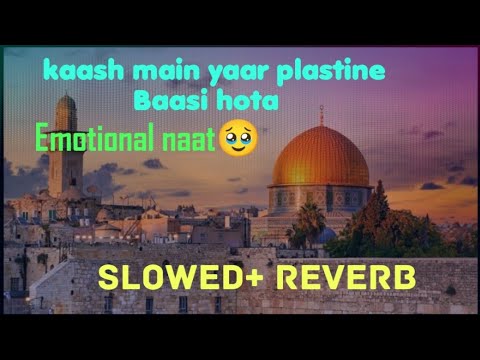 kash main yaro palestine ka basi hota slowed reverb,#Lofi #plestine #naat #qwwali