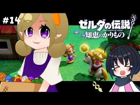 【ゼルダの伝説 知恵のかりもの】あの女を堕とす。 #14