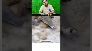 Wait/For/End_😂! #funny #duet #funnyduet #waitforit #dailyfunny