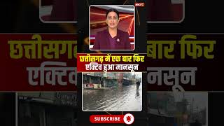छत्तीसगढ़ में एक बार फिर एक्टिव हुआ मानसून..#shorts #cgweather #rainalert #cgnews