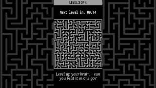 Can You Solve These 4 Hard Maze Puzzles? 🧠💥 #BrainGame