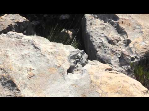 Alt de les creus