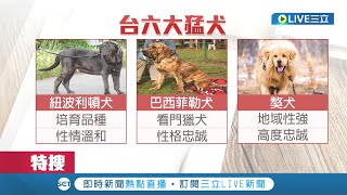 又發生猛犬攻擊事件! 台南獒犬咬傷老婦留下滿地血跡 專家:不建議大型狗帶到人多的地方 未牽繩+嘴罩最多可罰15萬｜【萌寵54來當家】20221029｜三立新聞台