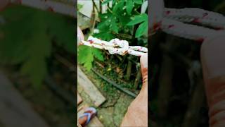 #ropemaster #shorts #ytshots #shortvideo #knotmaster #knot #rope  #ropework