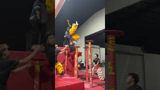 醒狮梅花桩训练摔倒瞬间，台上一分钟，台下十年功 #liondance #舞狮 #醒狮文化