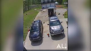 Video of 4-year-old bitten by rattlesnake in Alabama.