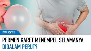 Fakta Mitos Makanan! Benarkah Permen Karet Akan Menetap Selamanya Di Dalam Perut? | Kata Dokter
