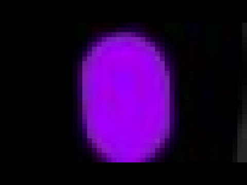 pink elephants meme with 3 aftons
