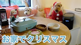 【ポータブル電源】新しく完成したダイニングで愛犬達とクリスマスを過ごしたよ EcoFlow DELTA 2 Max【古民家】