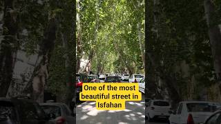 One of the most beautiful street in Isfahan! #Iran #irantravel #travel #traveling #tourist #tourism