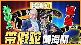 德國人看傻！帶假蛇能過海關嗎？