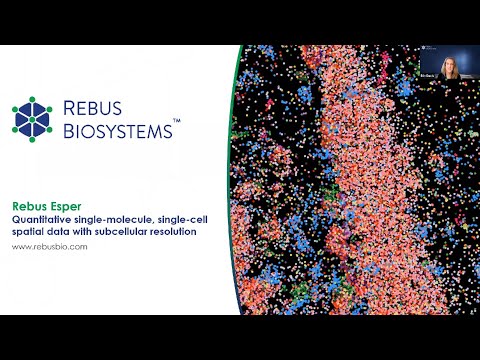 Quantitative single-molecule, single-cell spatial data with subcellular resolution