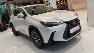 銷售主力 難得現車-2023 Lexus NX 200豪華版