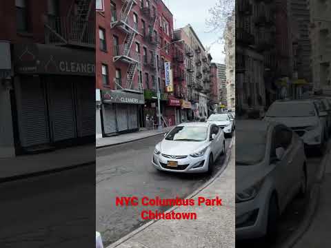 NYC Columbus Park Chinatown #shorts