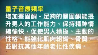 針對增加睪固酮 - 足夠的睪固酮能提升男人的工作能力、保持精神情緒愉快，促使男人積極、主動的性格 - 1.0版本 - 請閱讀影片使用說明 (建議使用耳機聆聽)