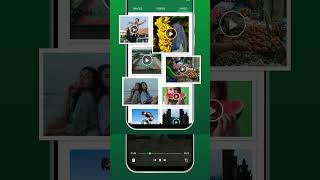 Easy Status Saver App | Save Every Status