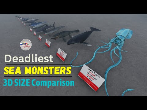 Deadliest Sea Monsters Size Comparison 3D🐙 🌊🐬🐳