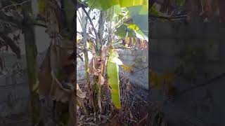 FEB update