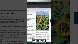 Simplify Research with PDF.AI: Organize and Summarize PDFs Instantly