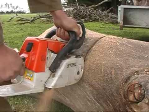 STIHL ms260