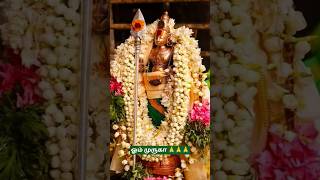 ஓம் முருகா 🙏🙏🙏#ommuruganthunai #ஓம்முருகாபோற்றி #devotional  #முருகாசரணம் #motivational #முருகன்துணை