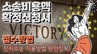 소송에서 이겼을때, 전자소송으로 소송비용액 확정신청서 접수하는 법