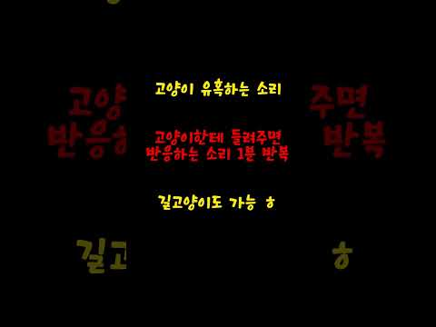 고양이 유혹하는 소리 길고양이도 미친듯이 다가옴