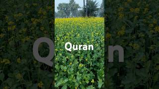 Surah Hamzah ayat 1-8 urdu translation #surahhamza #allah #quran