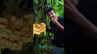 juicy jackfruit