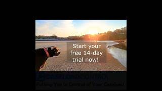 Caseload Control: Your Law Office Solution #legalcasemanagement #lawfirmmanagement  #legal billing