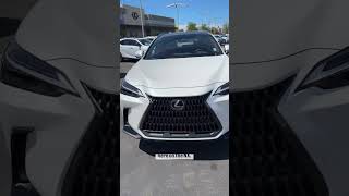 Sporty Hybrid: 2025 NX 350h
