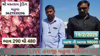 લાલ કાંદા ની લાઈવ હરાજી 🟥 #onion #onionrange #bajarbhav #onionfarming #indianagriculture #mahuva