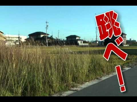 グーグーも応援！高校ラグビー！