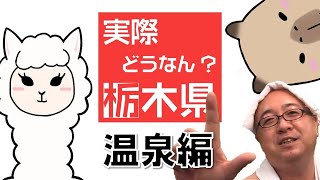 実際どうなん？栃木県（温泉編）