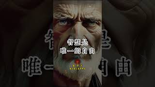 不必为生命中的某个片段哭泣……（斯多葛塞涅卡顶级语录合集完整版请关注 @QuotesEnlighten ）#名人名言 #语录 #名言集 #人生哲理 #人生智慧 #金句 #語錄分享 #斯多葛主義
