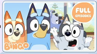 Best Bingo Games with Friends ✨ 🧡 | FULL EPISODES | 30 MINUTES | Bingo - Official Channel