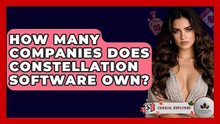 How Many Companies Does Constellation Software Own? - Canada Explored