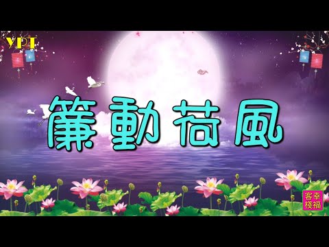 YPT65《簾動荷風》心靈音樂｜休閒音樂｜佛教音樂｜禪修音樂｜太極拳背景音樂＞無痕加長珍藏版