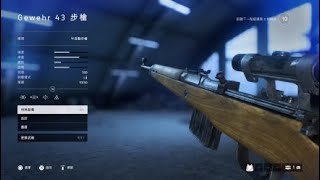 Battlefield™ V 戰地風雲5_突擊兵Gewehr 43半自動步槍 31-3