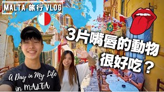 【Malta 馬爾他】有三片嘴唇的動物好吃嗎？｜地中海小國 Day in My Life in Malta 🇲🇹