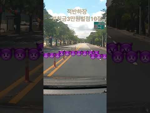 도로 위의 무개념 진입 방법 위반 상품권 전달 feat 조수석 진상