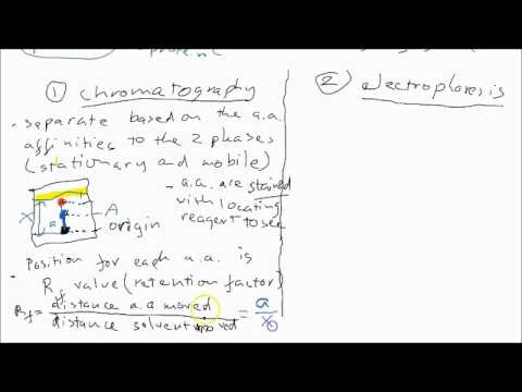 B2 chromatography and electrophoresis