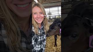 this week on the #farm #farmgirl #farmer #farming #vlog #vlogs #weeklyvlog #farmlife
