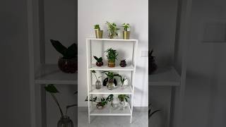 Setting ikea stand with plants&vase #ikea #indoorplants #roomsetup #home #asthetic #glassbottledecor