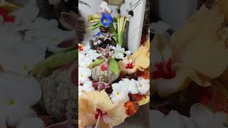 youtube #subscrib #love #like #pujoshorts #vakti #vairalvideo #mahadev #shiv#🙏🔱🙏🔱💝