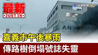 嘉義市午後暴雨 傳路樹倒塌號誌失靈【最新快訊】