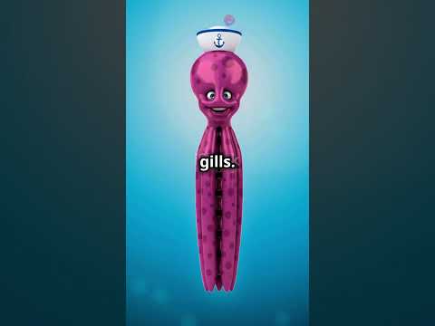 • “The Weirdest Science Facts You’ve Never Heard #facts