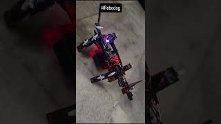Robodog #RoboDogDIY #diygadgets  #futureoftech  #stemlearning  #diyforkids #SmartRobotDog