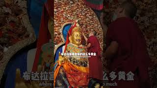 你真的了解藏文化吗？ #西藏 #西藏旅游 #布达拉宫 #旅行 #拉萨