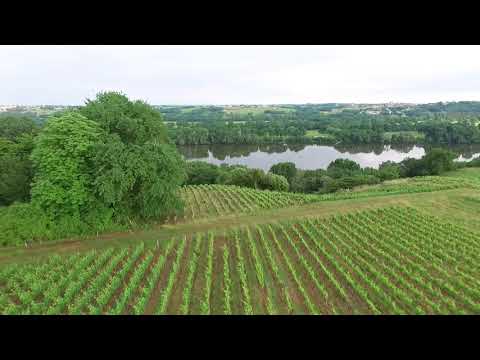 2018 le cellier #4